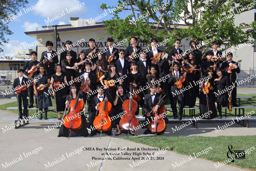 Musical Images